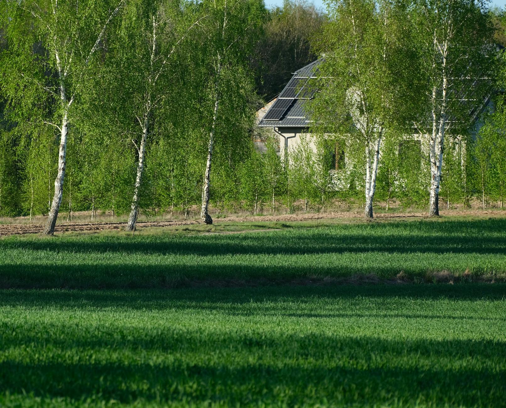 Nowoczesny dom z panelami słonecznymi wśród zieleni na Mazurach